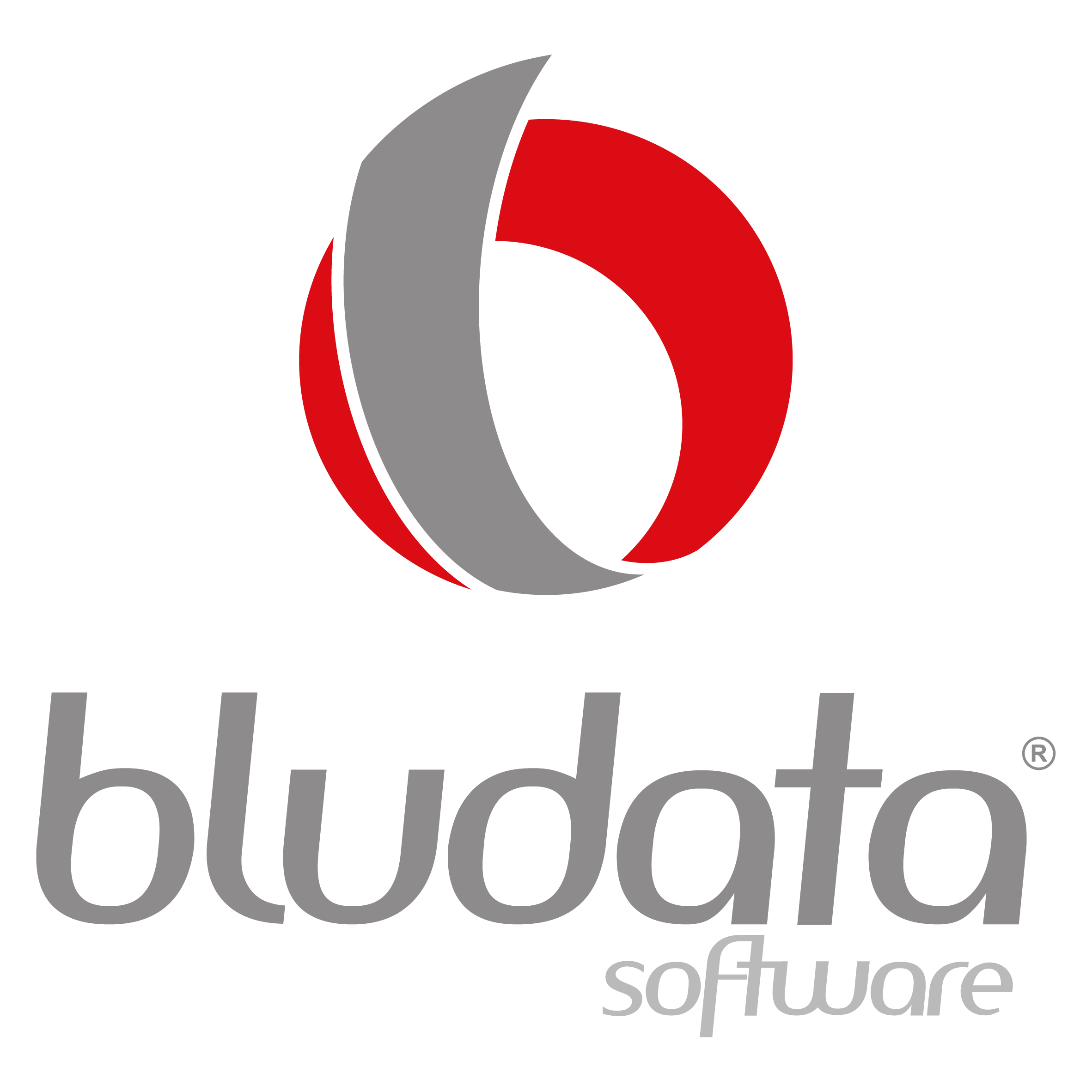 Bludata